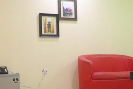 EXECUTIVE SUITES